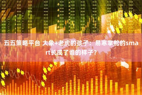 五五策略平台 大象+老虎的孩子：易寒掌舵的smart长成了谁的样子？