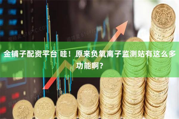金铺子配资平台 哇！原来负氧离子监测站有这么多功能啊？