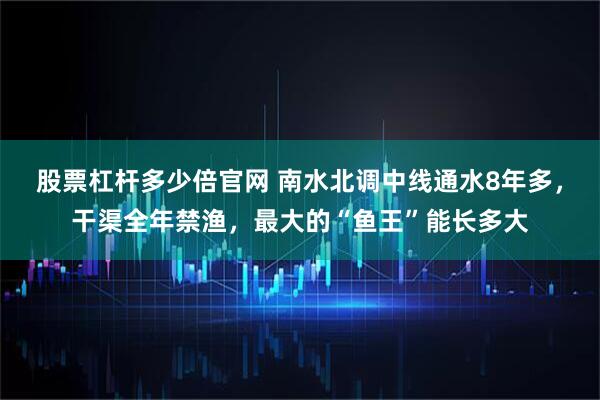 股票杠杆多少倍官网 南水北调中线通水8年多，干渠全年禁渔，最大的“鱼王”能长多大