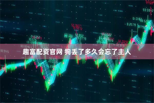 趣富配资官网 狗丢了多久会忘了主人