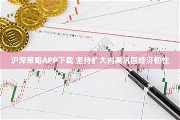 沪深策略APP下载 坚持扩大内需巩固经济韧性